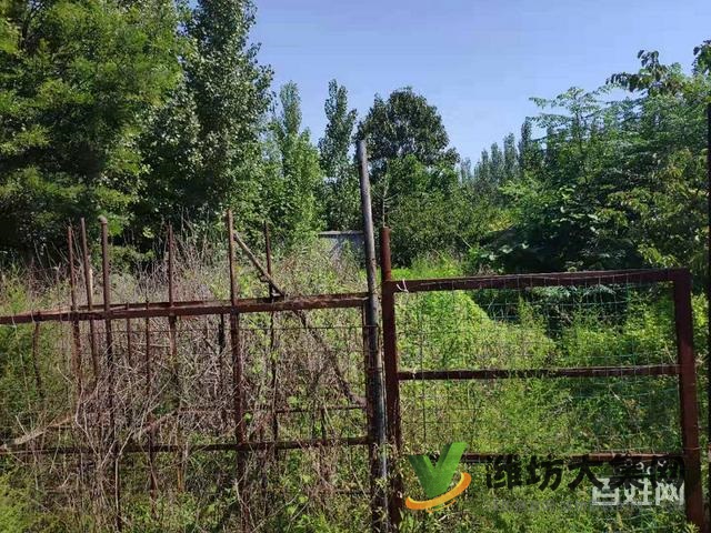 (快租免費尋址)濰城區寶通街符山鎮下八甲村廠房出租