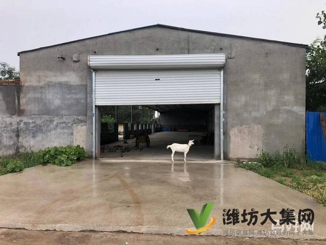 (快租免費尋址)坊子區(qū)九龍街道梁家村廠房出租