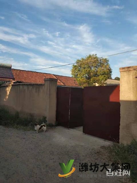 (快租免費(fèi)尋址)濰城區(qū)寶通街水庫路倉庫出租