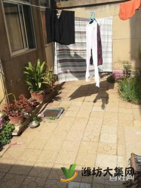 實(shí)驗(yàn)廣文濰柴宿舍一樓帶院子精裝兩室朝陽(yáng)