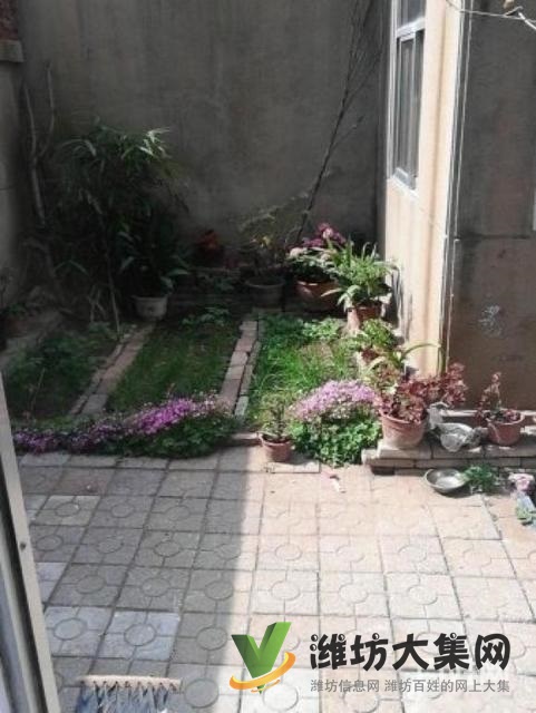 實(shí)驗(yàn)廣文濰柴宿舍一樓帶院子精裝兩室朝陽(yáng)