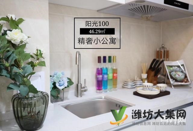 陽光100精裝公寓40~60平 樣板間開放歡迎品鑒