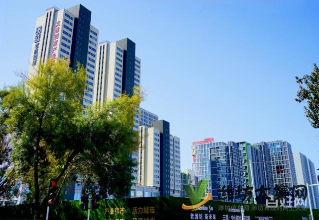 陽光100鳳凰社四室兩廳兩衛住宅164平南北通透