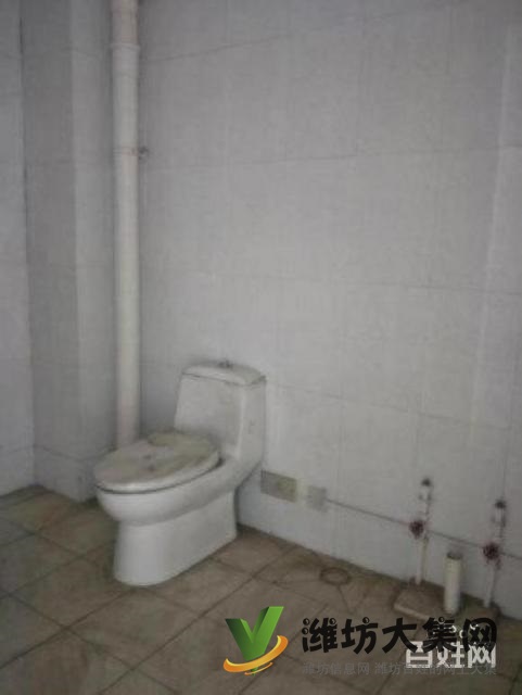 大華中央城大產權閣樓一手房手續H戶型南北通透包更名