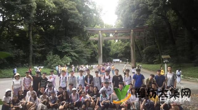 濰坊日語興趣班,哪個(gè)機(jī)構(gòu)比較靠譜找濰坊和聲國際教育