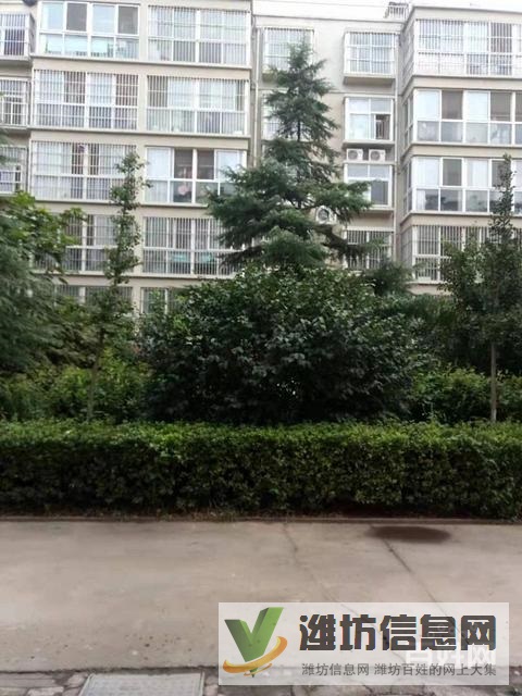 天虹花園,1樓,3室2廳2衛(wèi),南向大客廳,帶大車庫