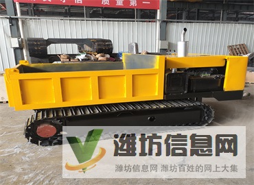 10噸農(nóng)用履帶運輸車 水陸兩用運輸車 小型橡膠履帶底盤