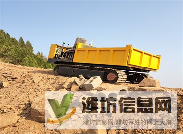 10噸農(nóng)用履帶運輸車 水陸兩用運輸車 小型橡膠履帶底盤