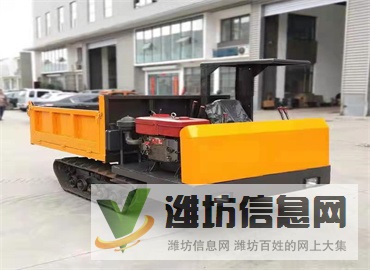 10噸農(nóng)用履帶運輸車 水陸兩用運輸車 小型橡膠履帶底盤